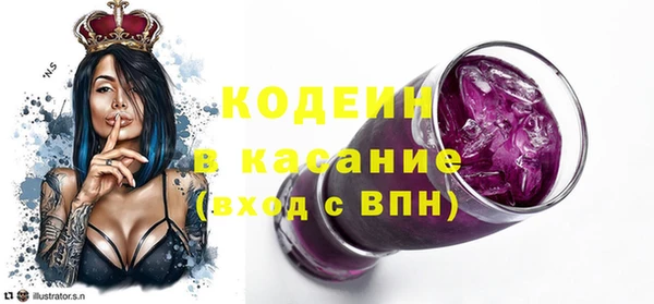 индика Кулебаки