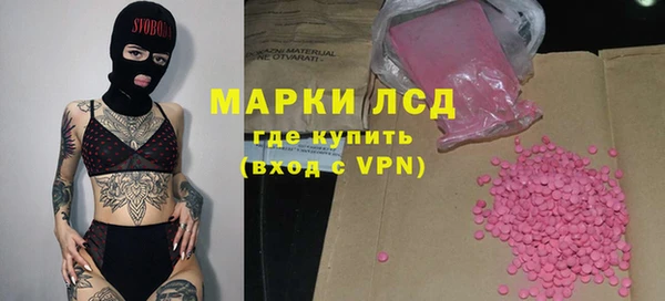 индика Кулебаки