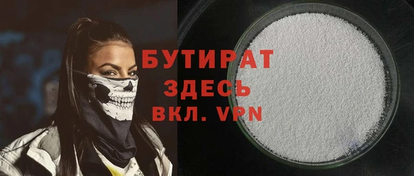 индика Кулебаки