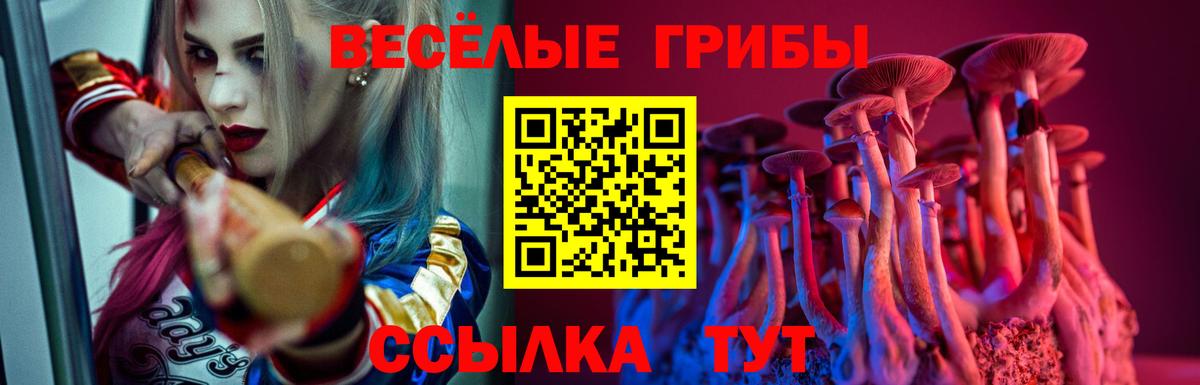 Псилоцибиновые грибы MAGIC MUSHROOMS  Вход с VPN  Кинешма 